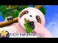 Things That Go Slow Little Baby Bum Animal Club Fun Songs For Kids