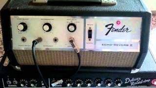 Fender echo-reverb II oilcan delay Tel Ray 1967