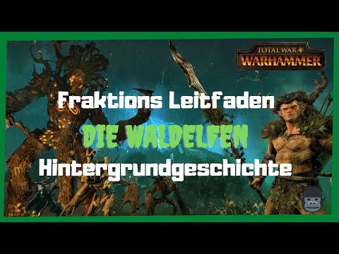 ⚔TOTAL WAR WARHAMMER⚔ Die Waldelfen/Insider- Hintergrundwissen/ Fraktion Leitfaden/Nerds Story World