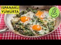 Spinach And Eggs Spinach With Eggs