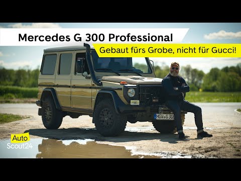 Für’s Grobe, nicht für Gucci! Mercedes G-Klasse G 300 Professional W461