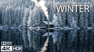 WINTER WONDERLAND - SNOW 4K ❄️Winter Magic & Relaxing Music for Stress Relief