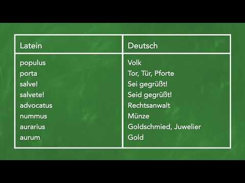 Latein lernen: Mit diesen Vokabeln die ersten Texte übersetzen!