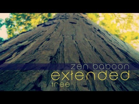 Paul Schulleri  - Sirene  Zen Baboon Remix  (Extended)