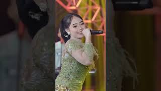 Download lagu Anan Ta Pad Chaye viral video mp3