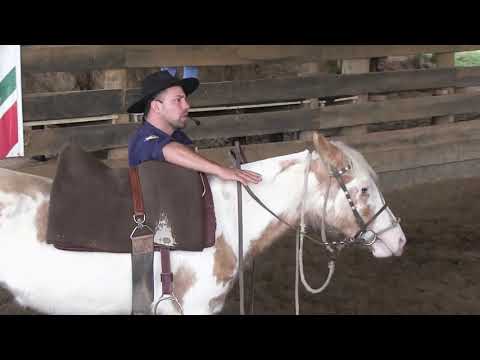 Beginning of the bottom work! Progressive taming!!!