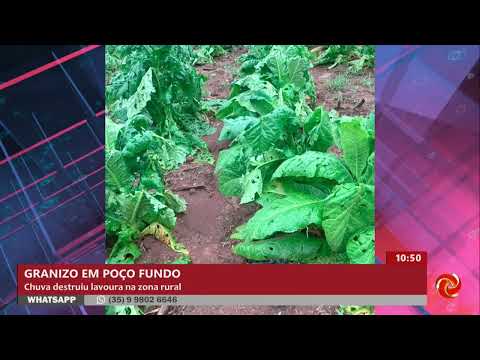 Granizo causa prejuízos em lavouras na zona rural de Poço Fundo