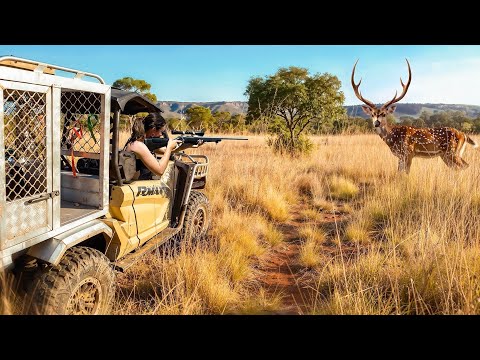 She Shot Her First Deer! (Wild Meat Catch & Cook)