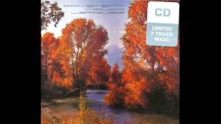 Pavement - Stub Yor Toe