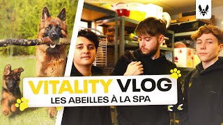 Nikof, Podasai et Snayzy à la SPA de Gennevilliers