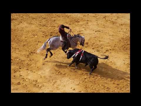 Twelve Spanish Dances Op. 37 - no 9 Mazurka Romantica - Enrique Granados