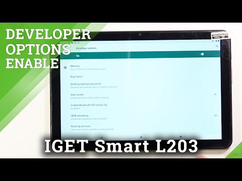 Developer Options in IGET Smart L203 – Enter Developer Features