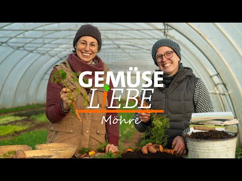 , title : 'Möhren - Alles was Du über Anbau, Pflege und Lagerung wissen musst | Gemüseliebe'