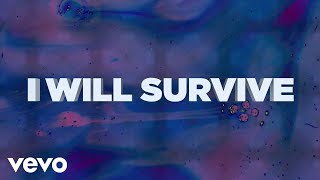 Belters Only - I Will Survive video