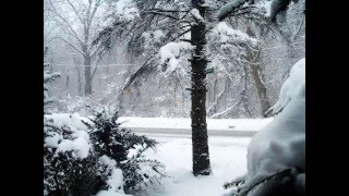 No Lies, Just Love - Bright Eyes