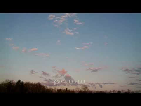 Ali Bakgor x ALEV x onebit. - Paradise