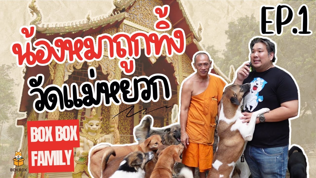 วัดแม่หยวก