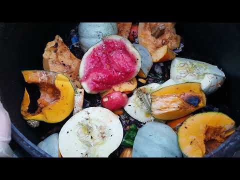 No Rules Worm Bin November Feed