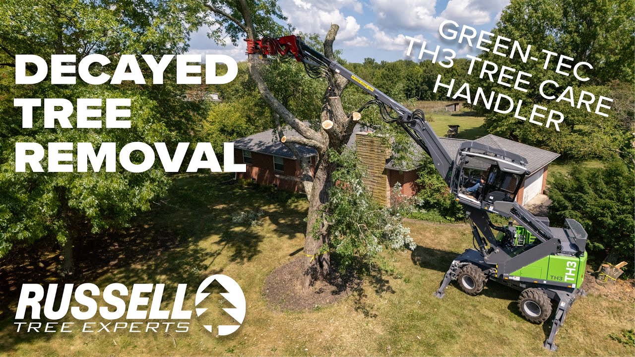 Decayed Tree Removal with a Green-Tec TH3 Tree Care Handler