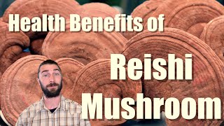 Reishi