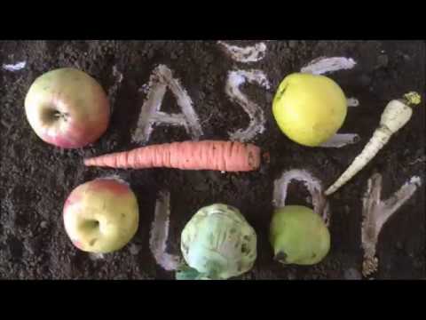 Ročníkový projekt: 4. A  - Naše půda 2018