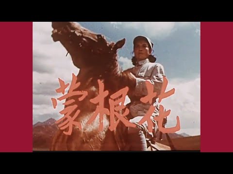老片有约：《蒙根花》1978年摄制/国产彩色老电影/战争剧情/内蒙古故事/怀旧经典