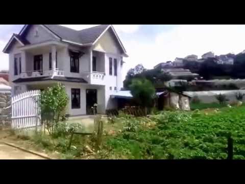 Trăm năm là đâu - Trần Quang Lộc