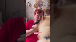 Happiness is a warm puppy, agreed?