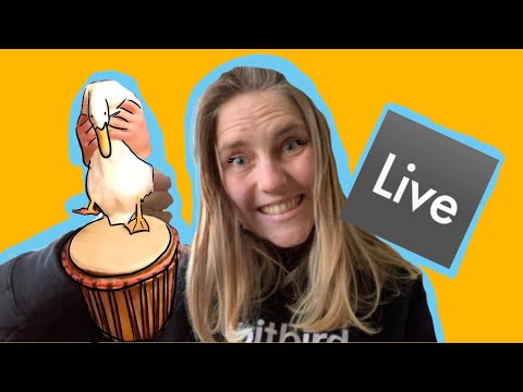 DUCK PLAYING BONGOS? Making Drum n Bass with a duck in bed.