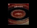 I Really Did by Hank Williams Jr.  from his album Hank Williams Jr.  & Friends