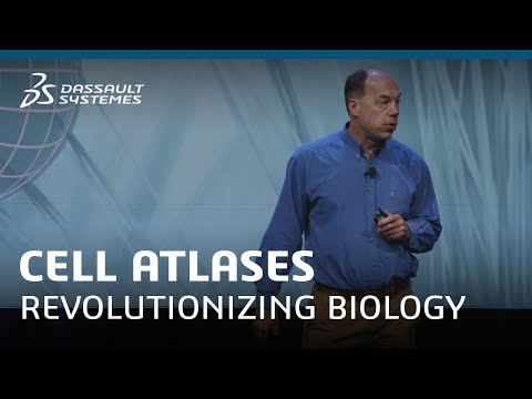 How Cell Atlases Are Revolutionizing Our Understanding of Life - Stephen Quake, Stanford University
