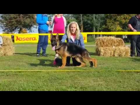 Don Juan von neu Garmond