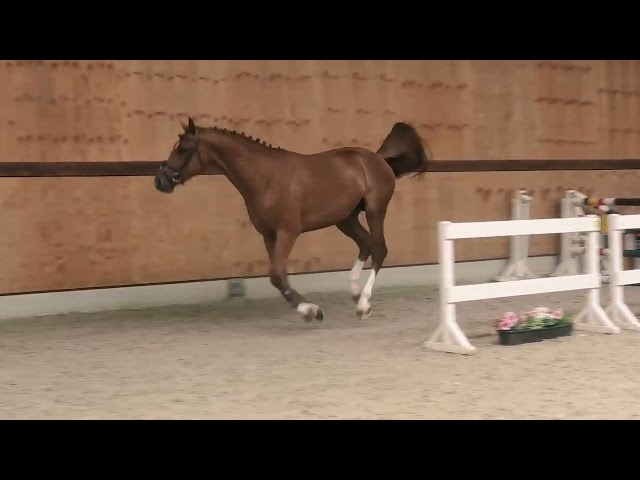 jumping