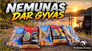 Nemunas dar gyvas