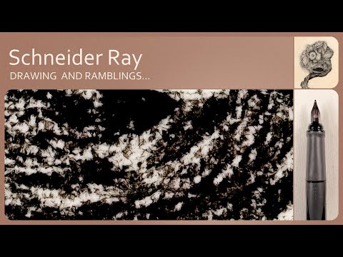 Drawing with a Schneider Ray fountain pen