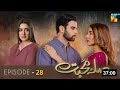 Sila E Mohabbat Episode 28 - Full Episode - 19 November 2021 - Hum Tv Drama - Haseeb helper