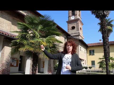 Visita virtuale alla chiesa di S.S. Filippo e Giacomo