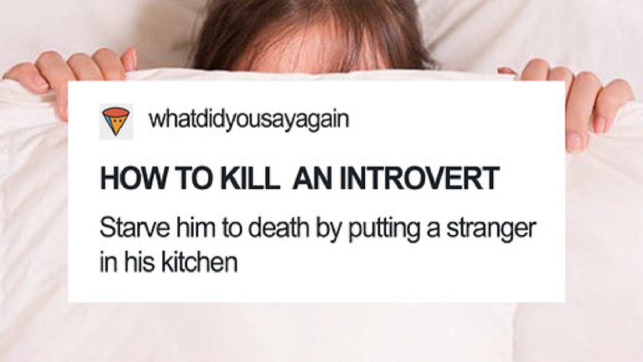 Times Tumblr Made Introverts Laugh Out Loud || Funny Daily #569