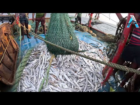Amazing Fastest Giant Bluefin Tuna Fishing Skill - Most Satisfying Sea Fishing Video@FISH_TV