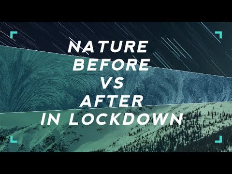 Nature Before VS After In Lockdown In India || Adeeb Sayyed ||