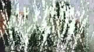 ChunElla : A True Love Story MV