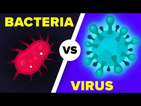 Virus vs Bacteria: Why It’s Key to Know the Difference!