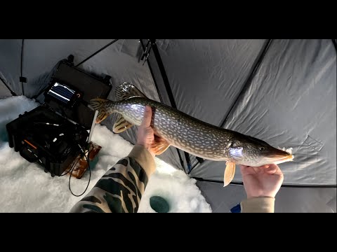 Rippin' Lips on LML - Trying out my new JawJacker