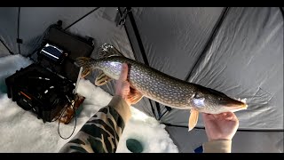 Rippin' Lips on LML - Trying out my new JawJacker