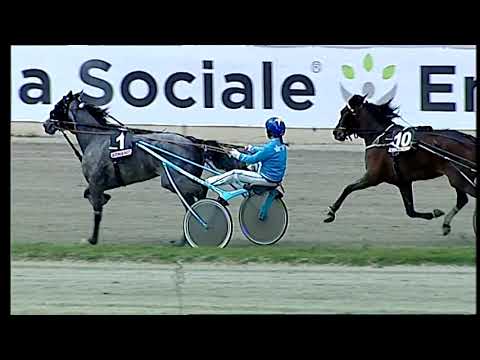 Napoli Trotto 01/04/2022 - 2ª corsa