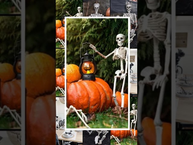 Vídeo relacionado con SIFOEL 90cm Halloween posable Esqueleto de Cuerpo Completo con articulaciones móviles para Halloween al Aire Libre de Interior jardín casa Patio Decoraciones