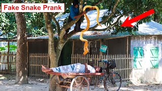 King Cobra Snake Prank 🐍 (Part 3)  Fake Snake P