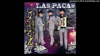 El Humilde Lyrics English Translation