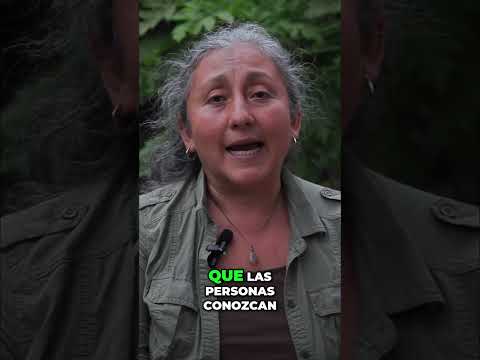 Descubre los secretos de la Ruta del Roble #biodiversidad #charalá #rutaroble