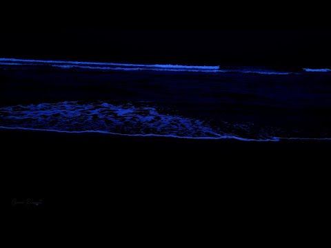 Overcome insomnia in 5 minutes with 48 hours of ocean sounds and crashing waves at night